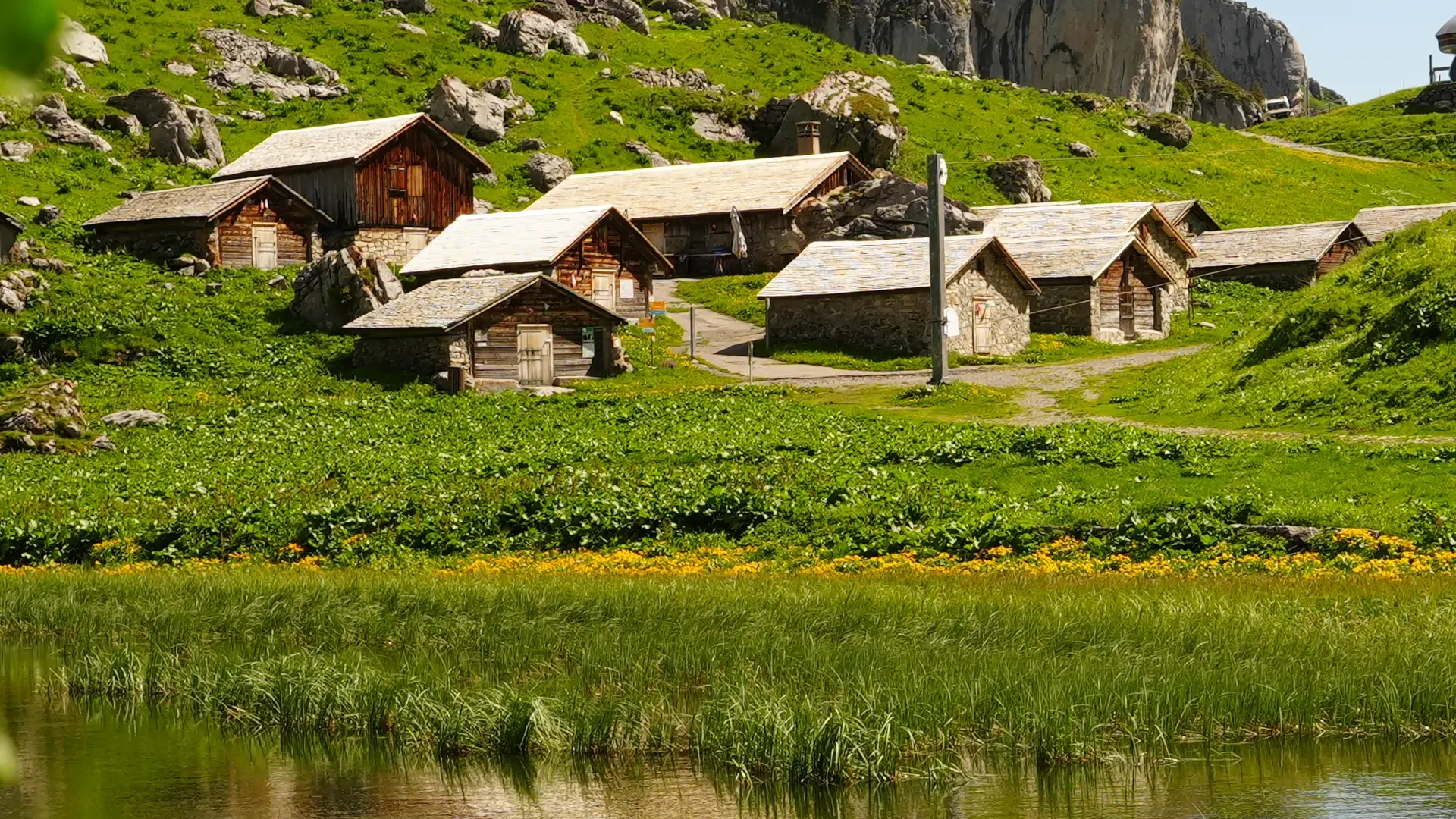 Banner Activites Estivales